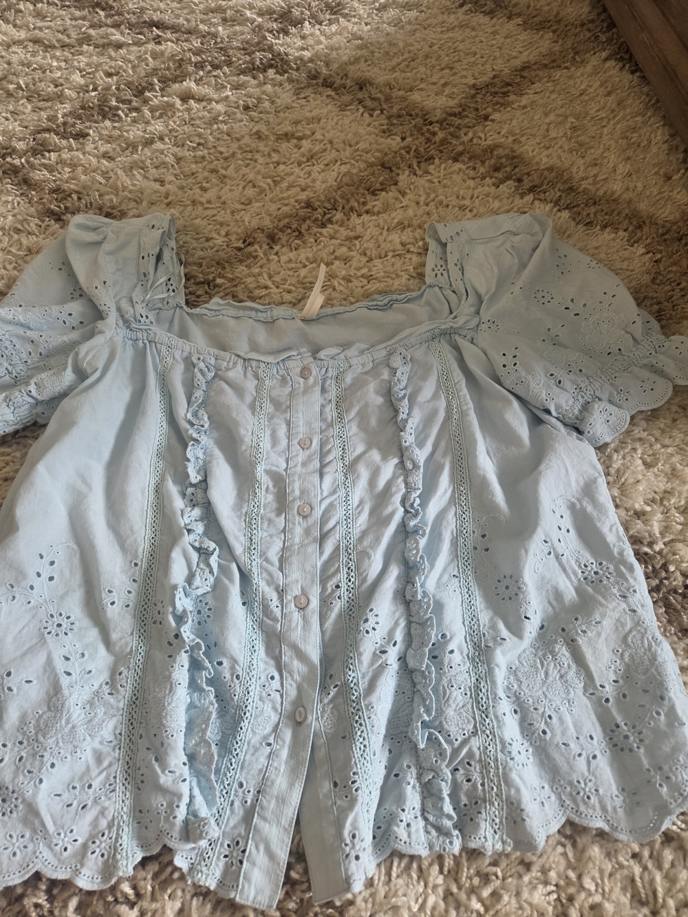 Anthropologie Light Blue Eyelet Ruffle Button-Front Blouse